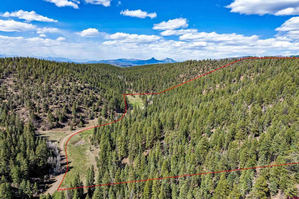 885 Puma Place Pagosa Springs CO 81147