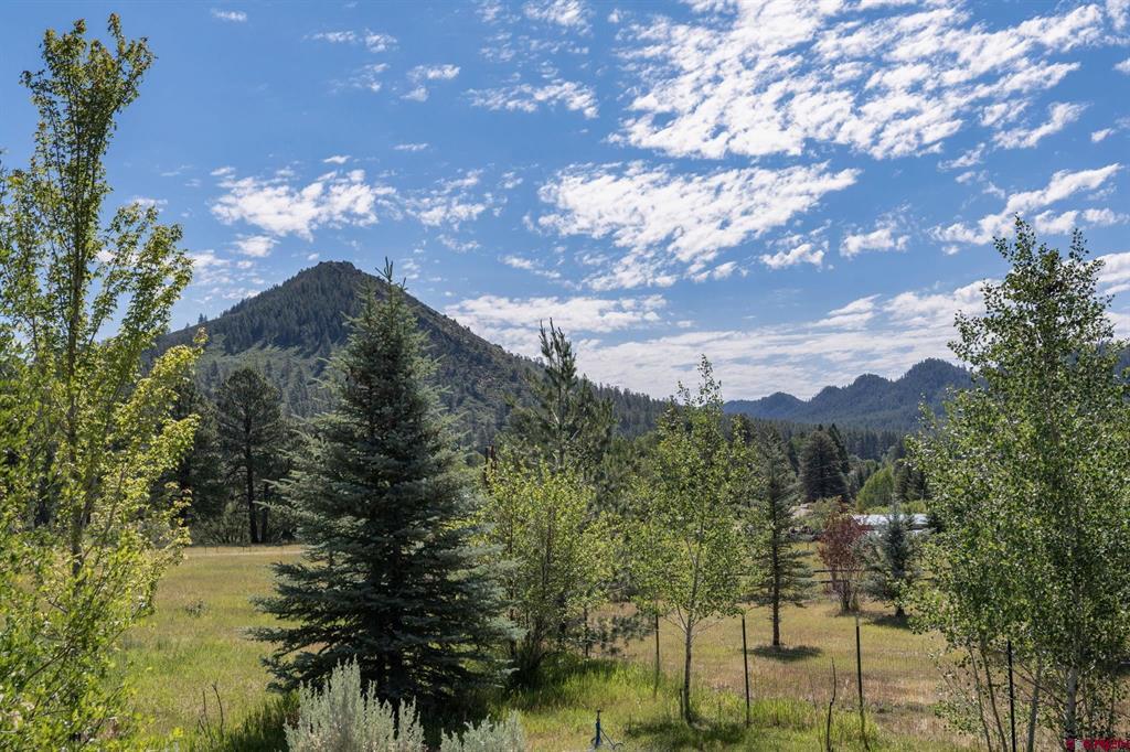 900 Pine River Ranch Circle Bayfield CO 81122