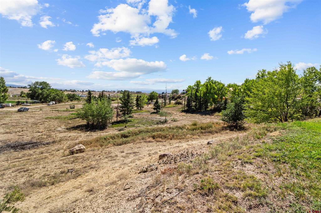 12858 6700 Road Montrose CO 81401