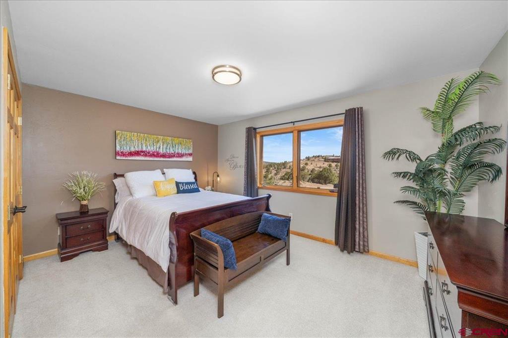 200 Rabbit Brush Court Ridgway CO 81432