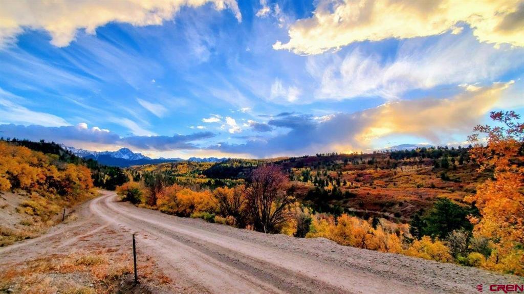 87 Which Way Ridgway CO 81432