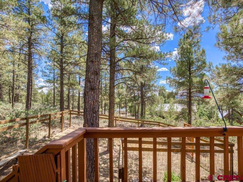 422 Dutton Drive Pagosa Springs CO 81147
