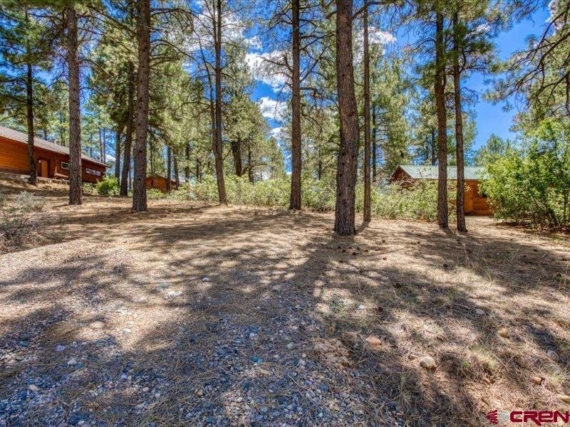 422 Dutton Drive Pagosa Springs CO 81147