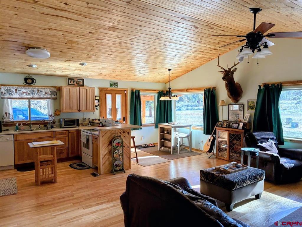 247 Massey Creek Road Antonito CO 81120