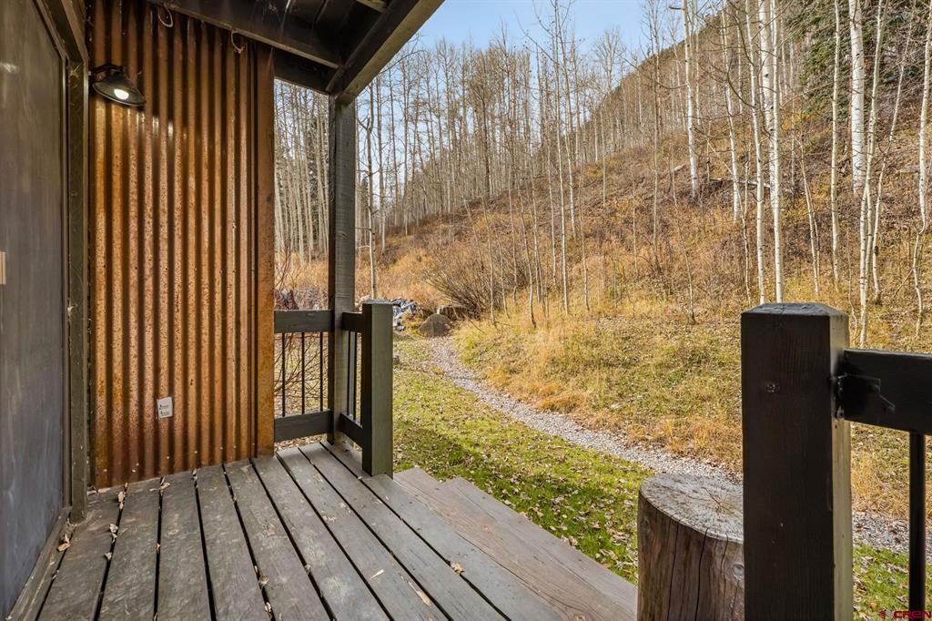 166 Yankee Girl Court Durango CO 81301