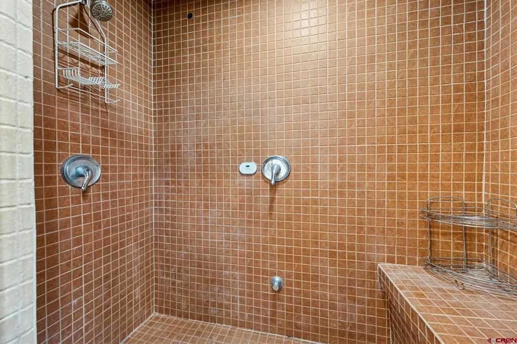 166 Yankee Girl Court Durango CO 81301