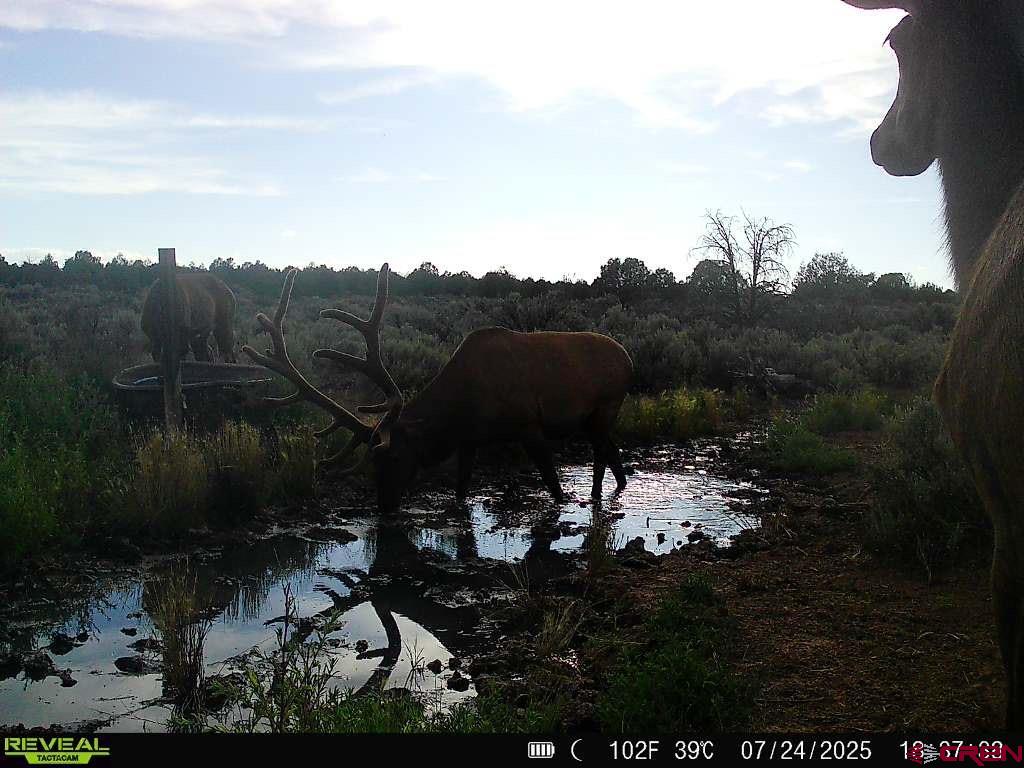 TBDWP2 County Road 106 Hesperus CO 81326
