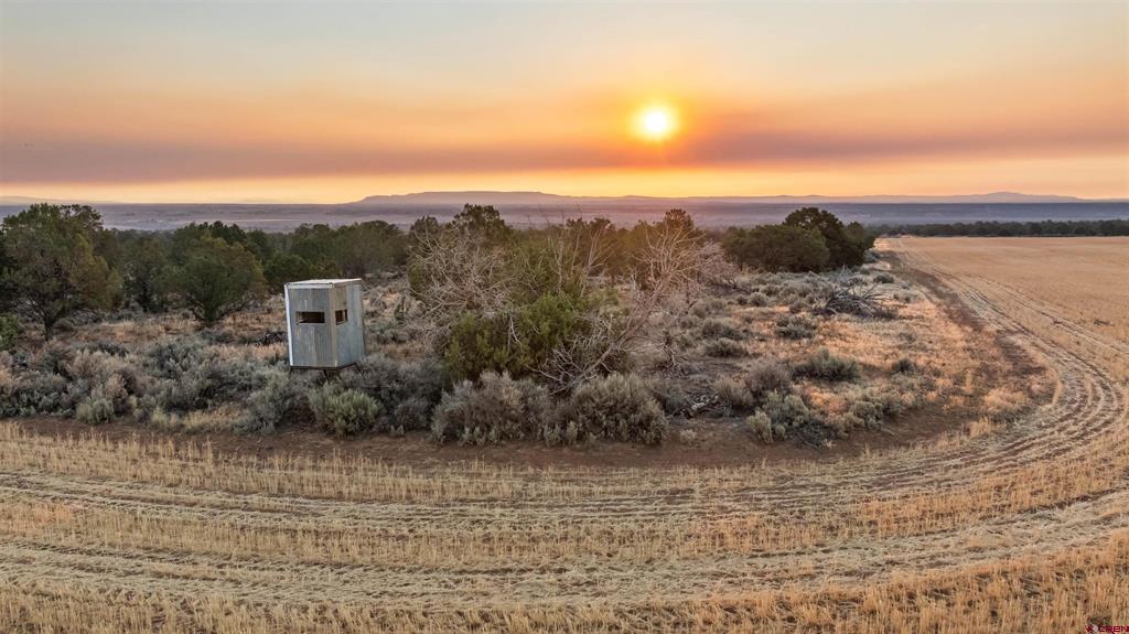 TBDWP2 County Road 106 Hesperus CO 81326