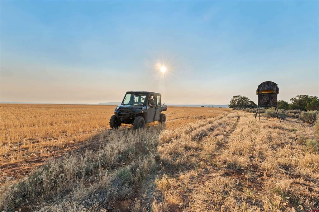 TBDWP2 County Road 106 Hesperus CO 81326