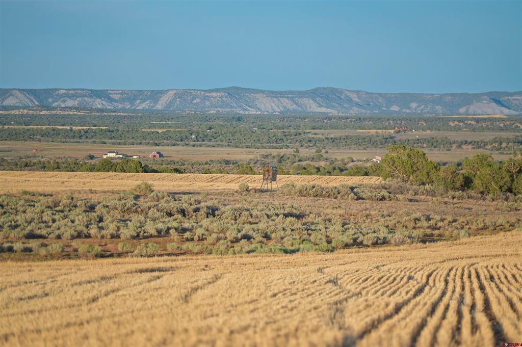 TBDWP2 County Road 106 Hesperus CO 81326