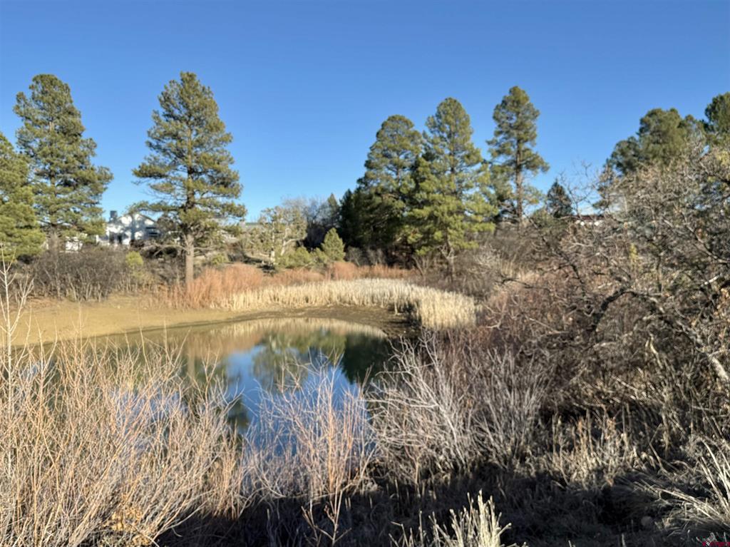213 Treeline Street Durango CO 81303