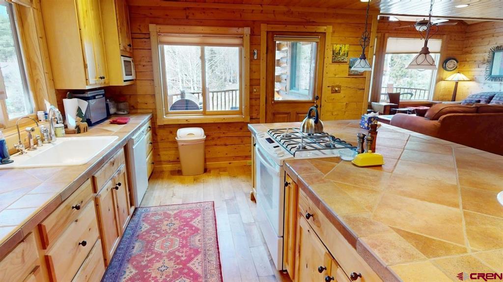 1130 Ocean Wave Drive Lake City CO 81235