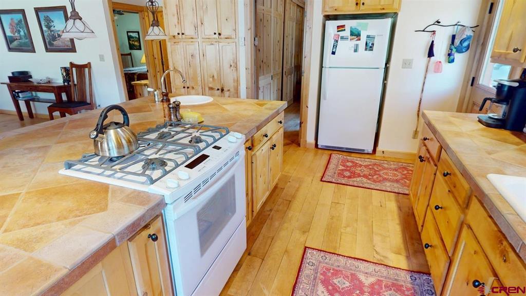 1130 Ocean Wave Drive Lake City CO 81235