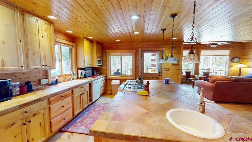 1130 Ocean Wave Drive Lake City CO 81235