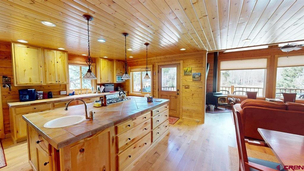 1130 Ocean Wave Drive Lake City CO 81235