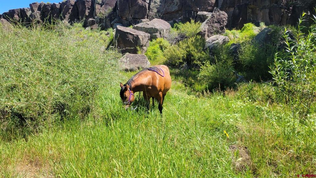 12753 13.5 Road Antonito CO 81120