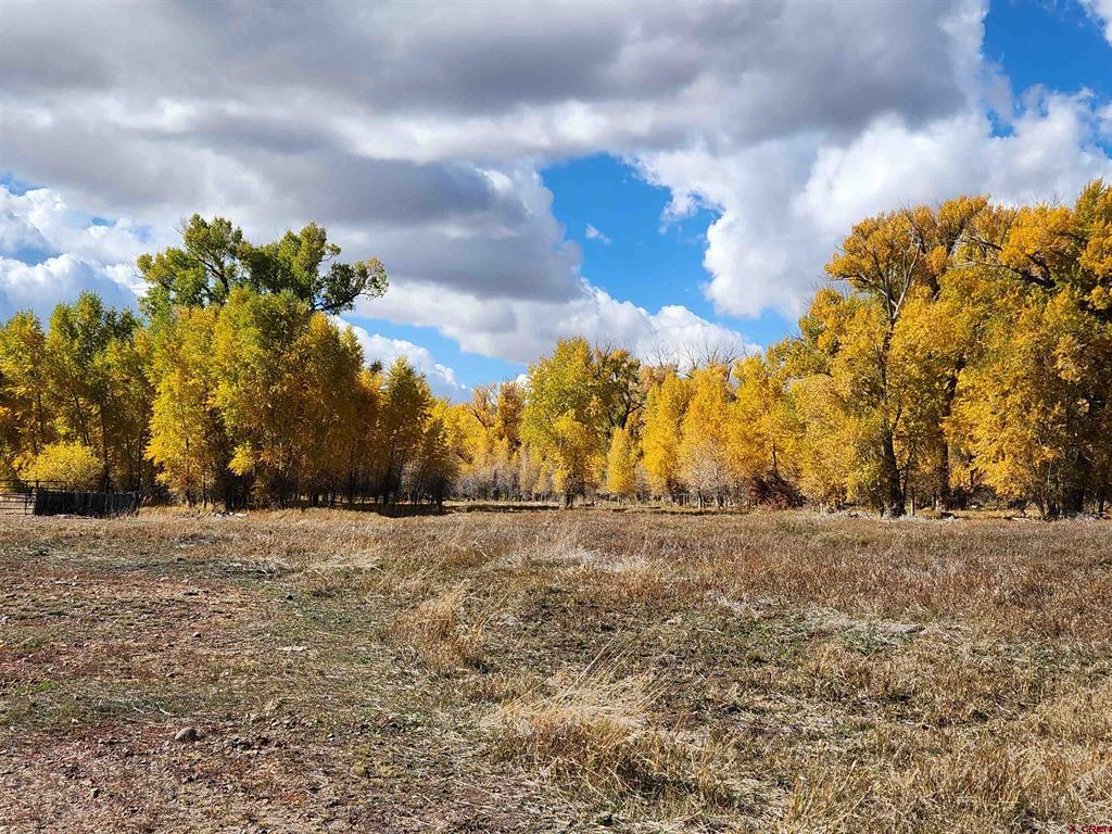 12753 13.5 Road Antonito CO 81120