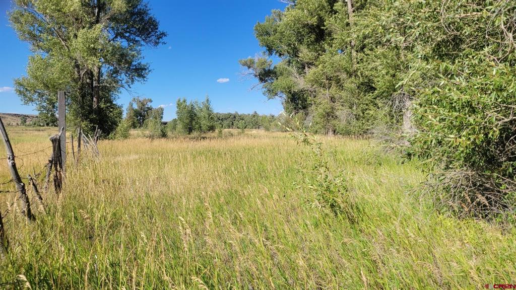 12753 13.5 Road Antonito CO 81120