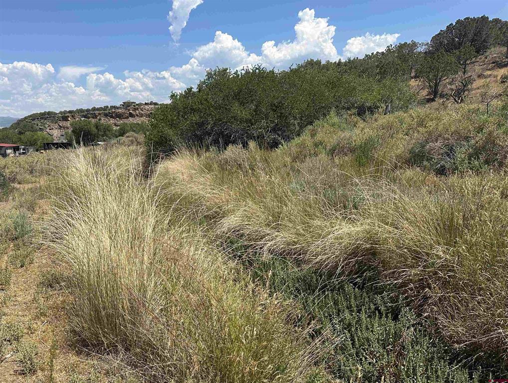 17744 Old Paradox Road Montrose CO 81403