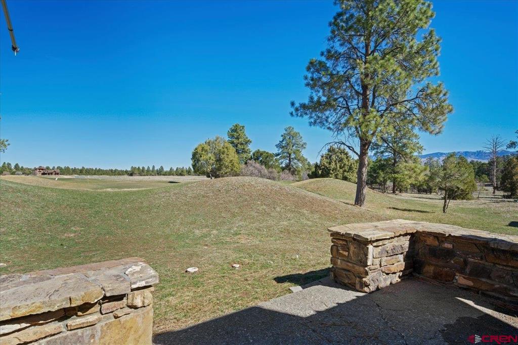 51 Red Fox Lane Ridgway CO 81432