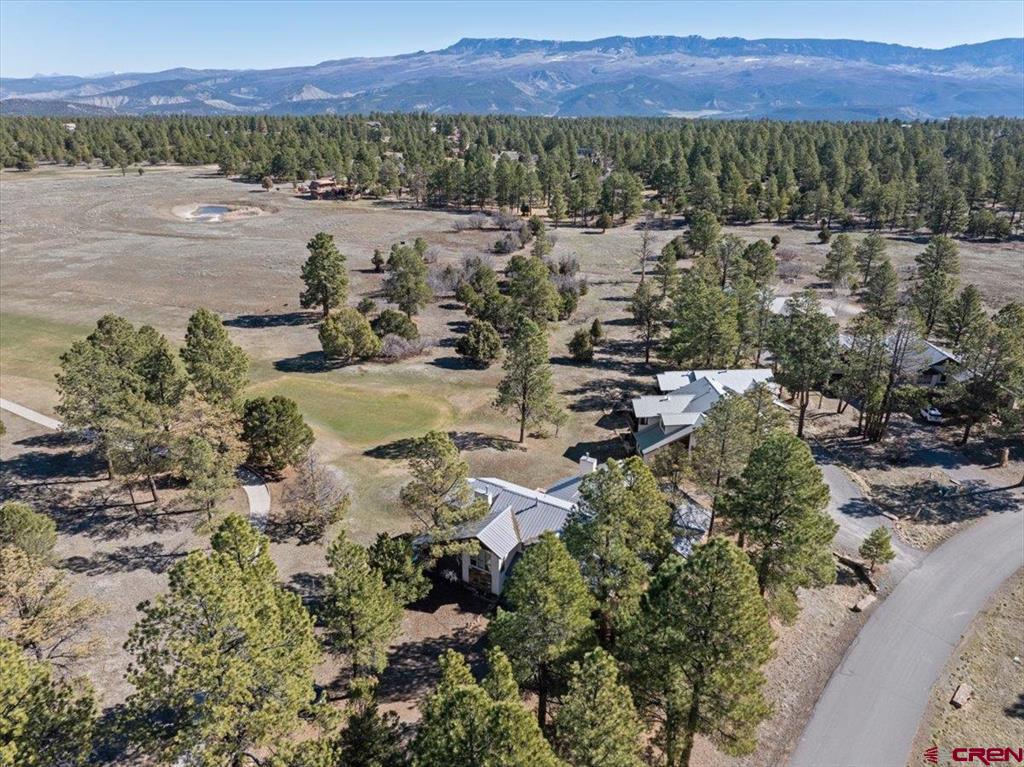 51 Red Fox Lane Ridgway CO 81432