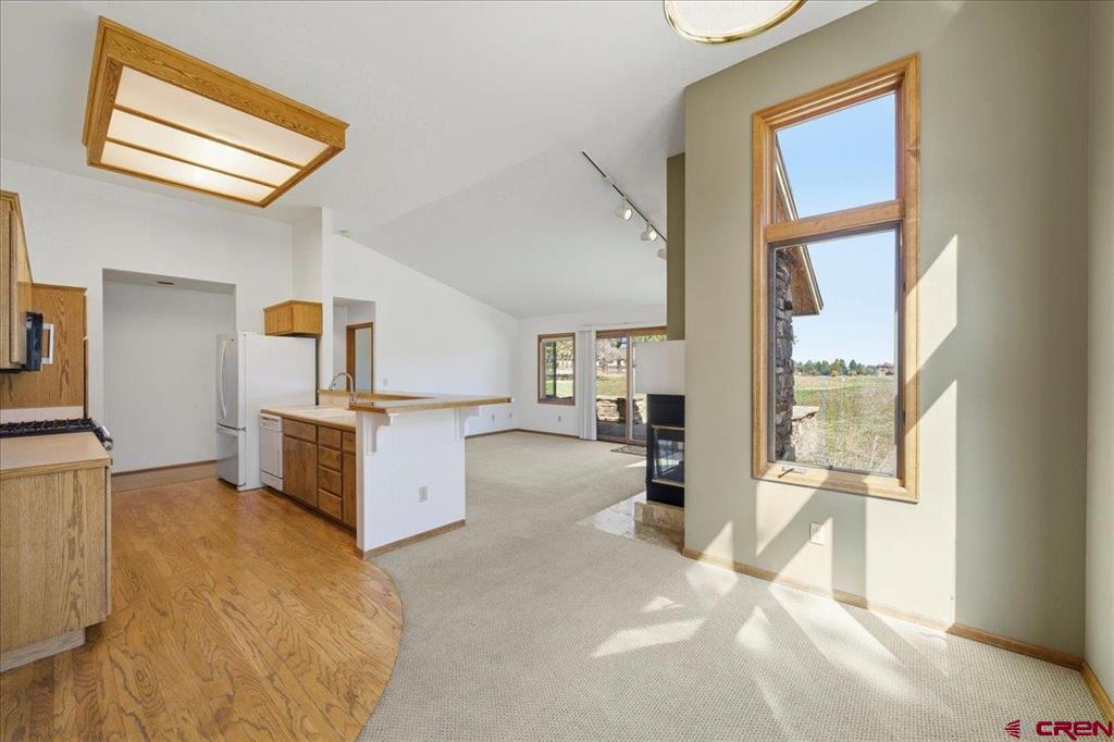 51 Red Fox Lane Ridgway CO 81432