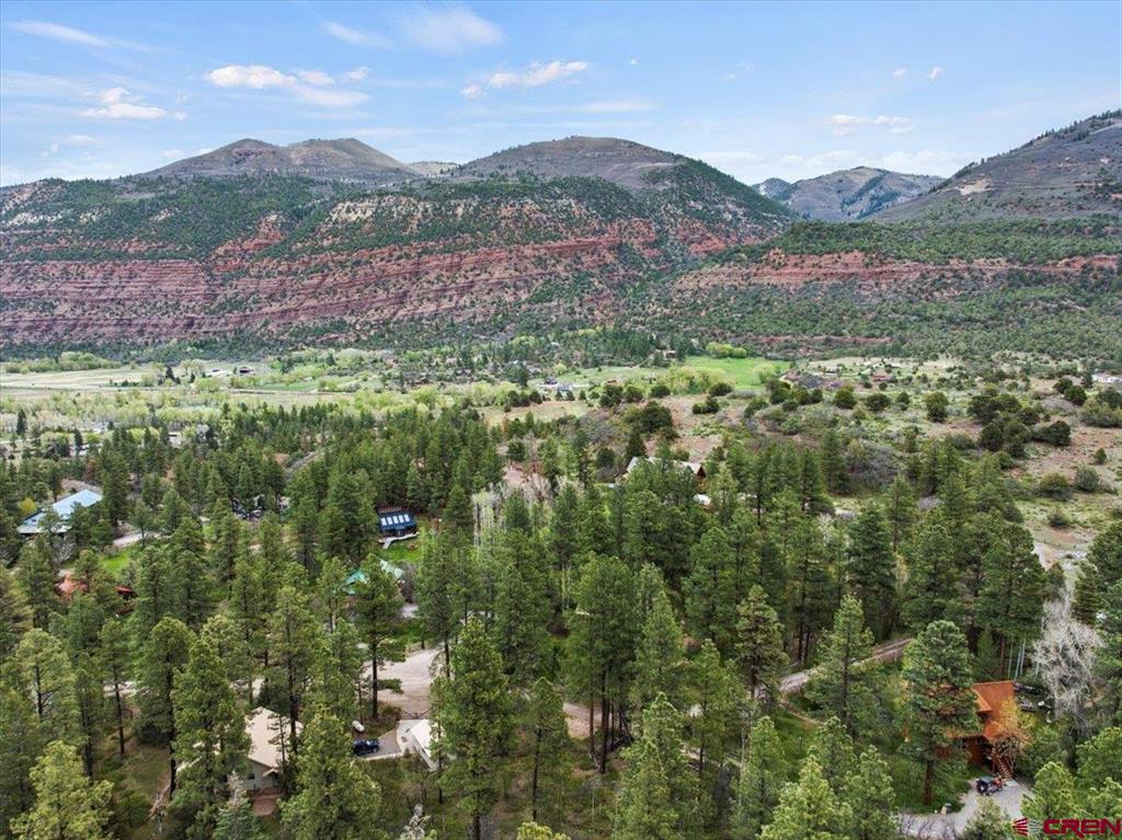 3153 County Road 17 Ridgway CO 81432