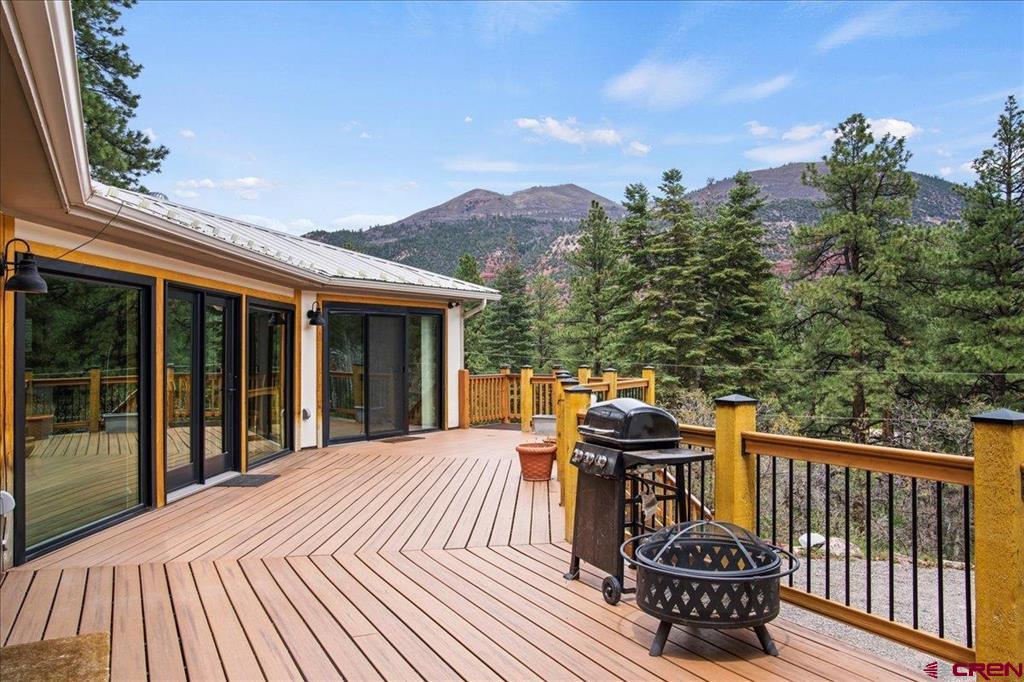 3153 County Road 17 Ridgway CO 81432