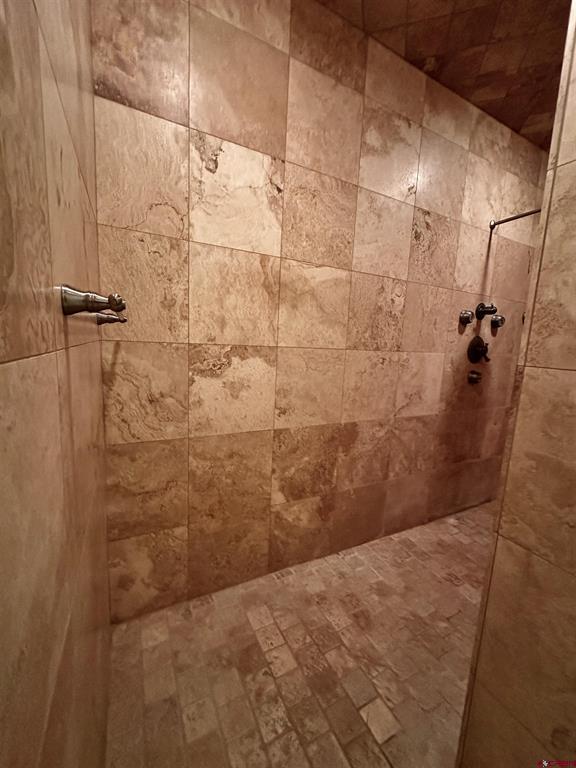 40 Juniper Lane Ridgway CO 81432