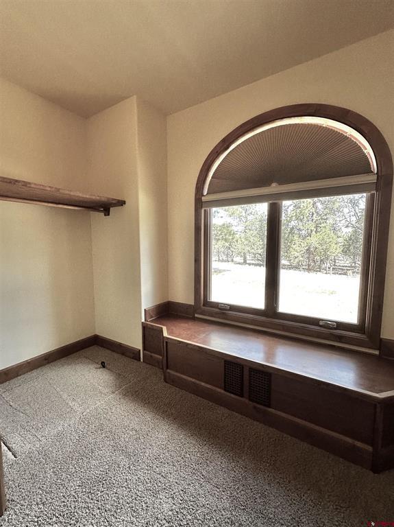 40 Juniper Lane Ridgway CO 81432