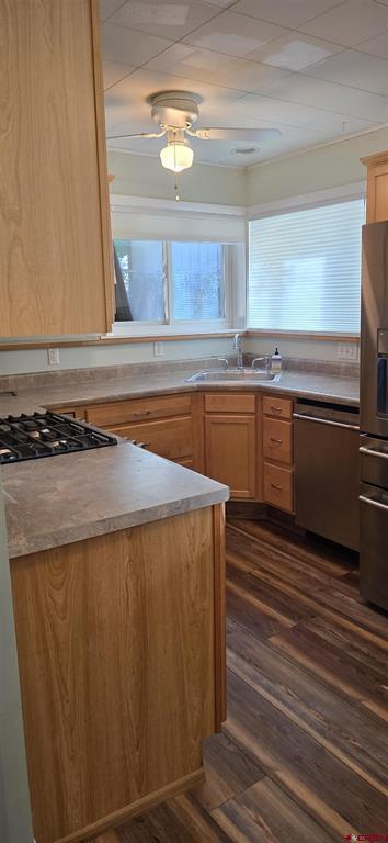 229 2nd Street Ouray CO 81427