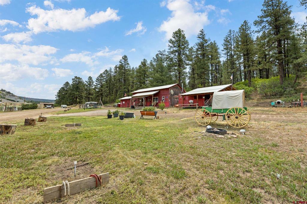 1199 & 1242 E Stollsteimer Road Pagosa Springs CO 81147