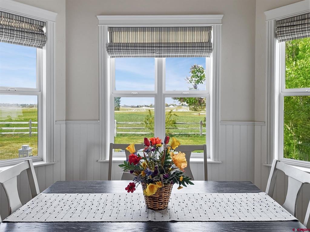 675 Cobble Drive Montrose CO 81403