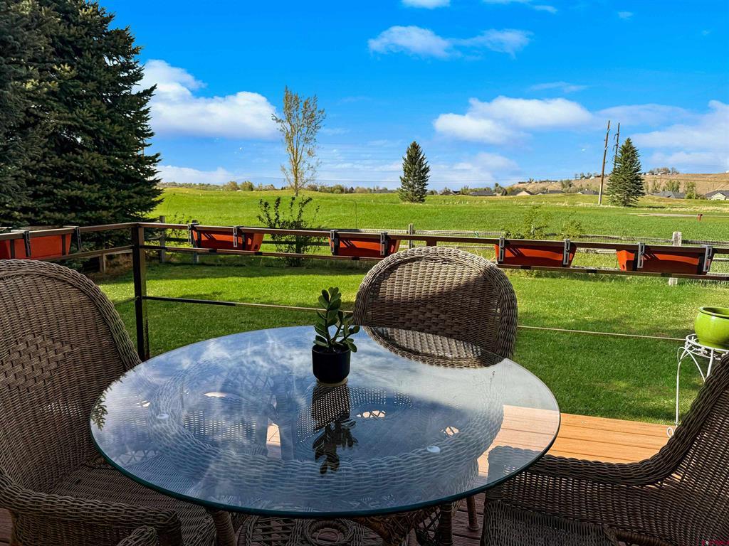 675 Cobble Drive Montrose CO 81403