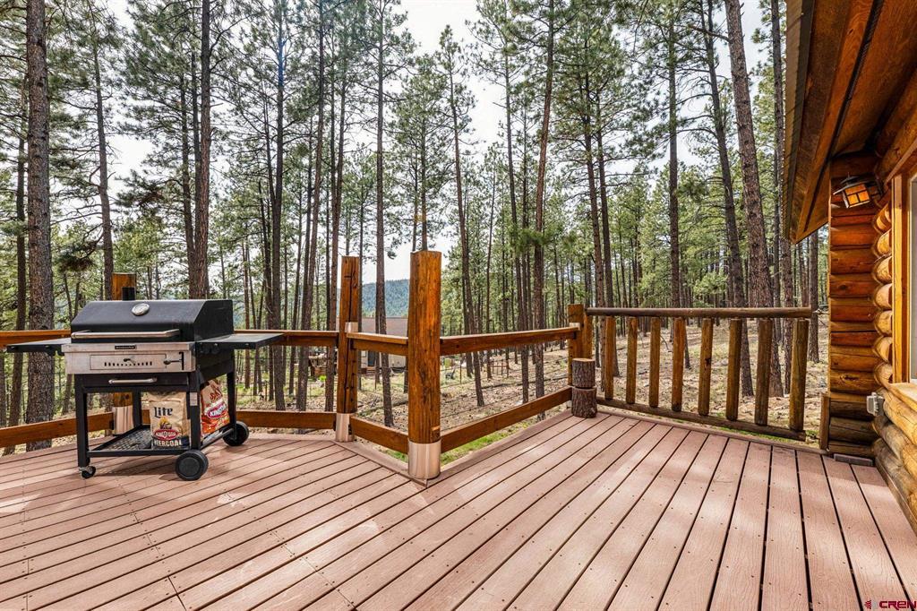 221 Deer Ridge Drive Bayfield CO 81122