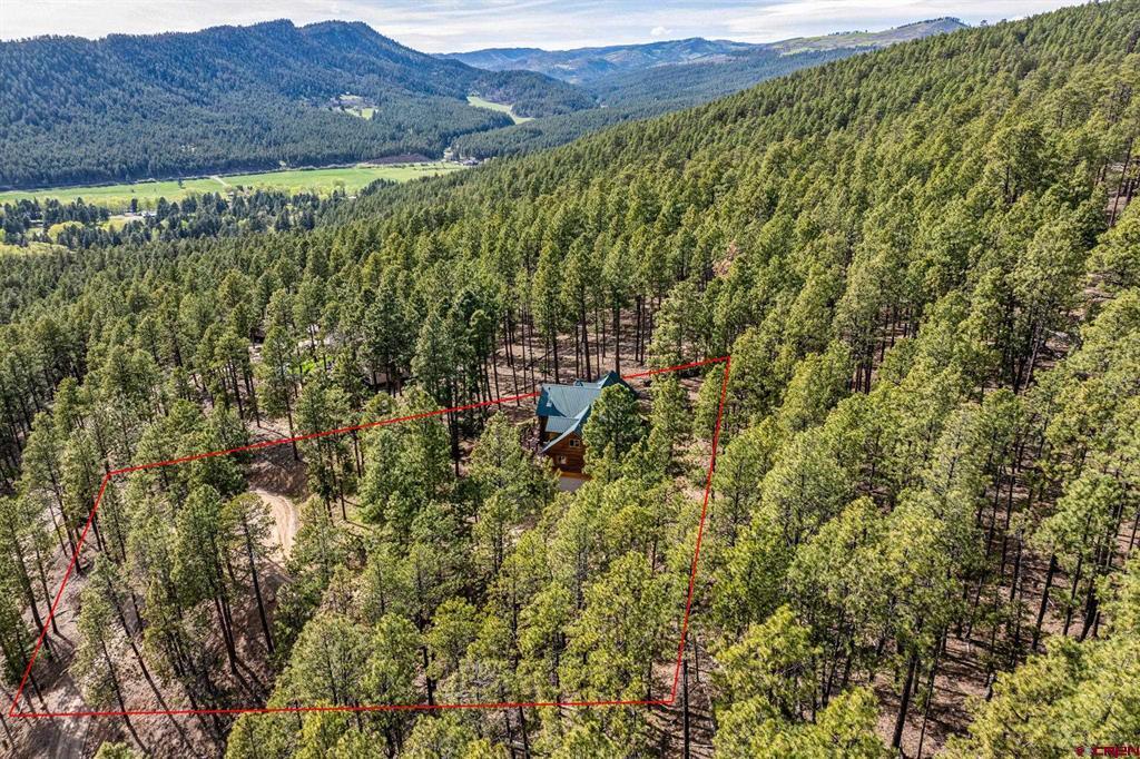 221 Deer Ridge Drive Bayfield CO 81122