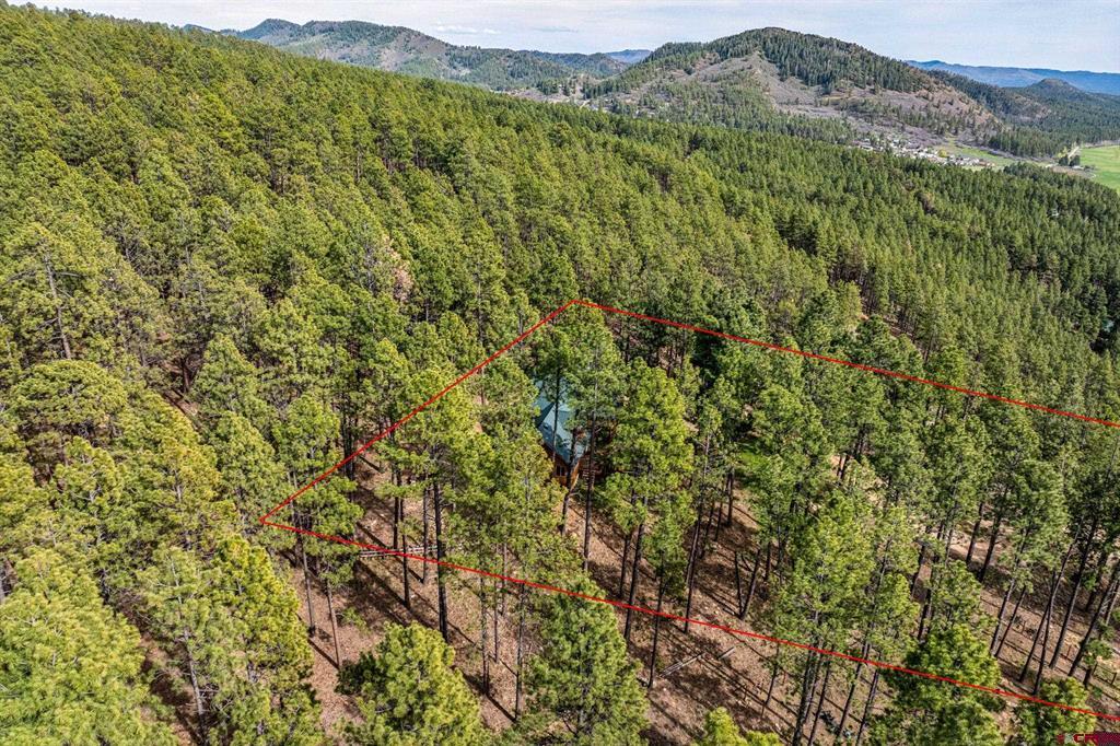 221 Deer Ridge Drive Bayfield CO 81122