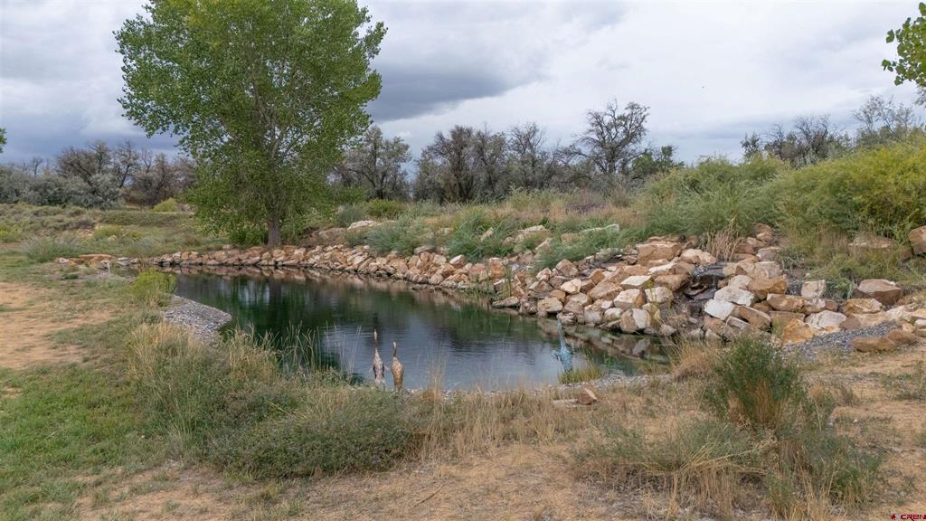 58818 Mallard Lane Montrose CO 81403