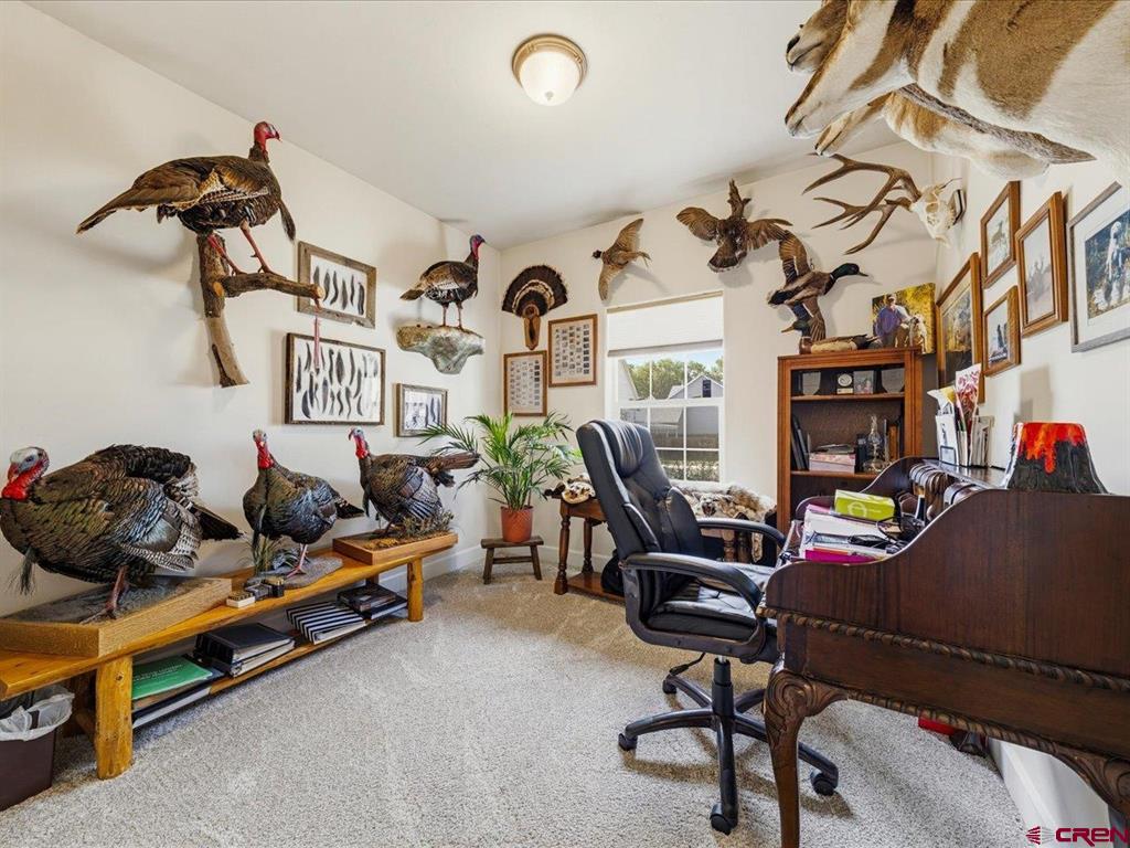 1416 Colonial Drive Montrose CO 81401