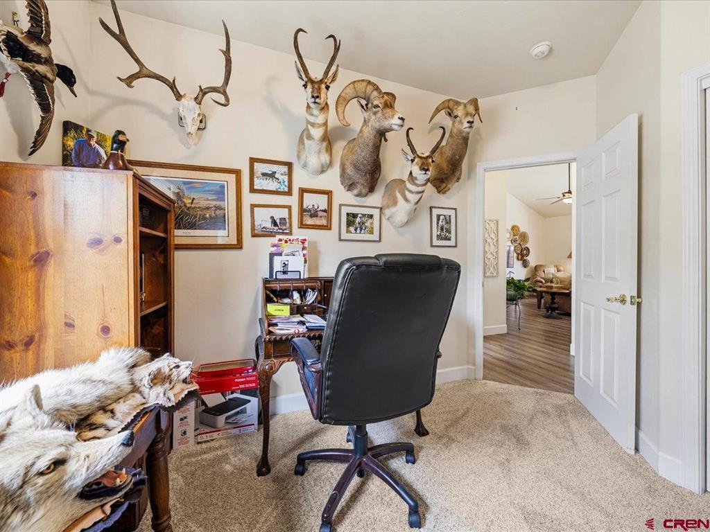1416 Colonial Drive Montrose CO 81401