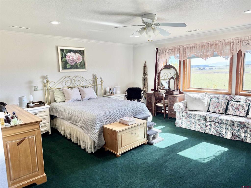 10528 Bostwick Park Road Montrose CO 81401