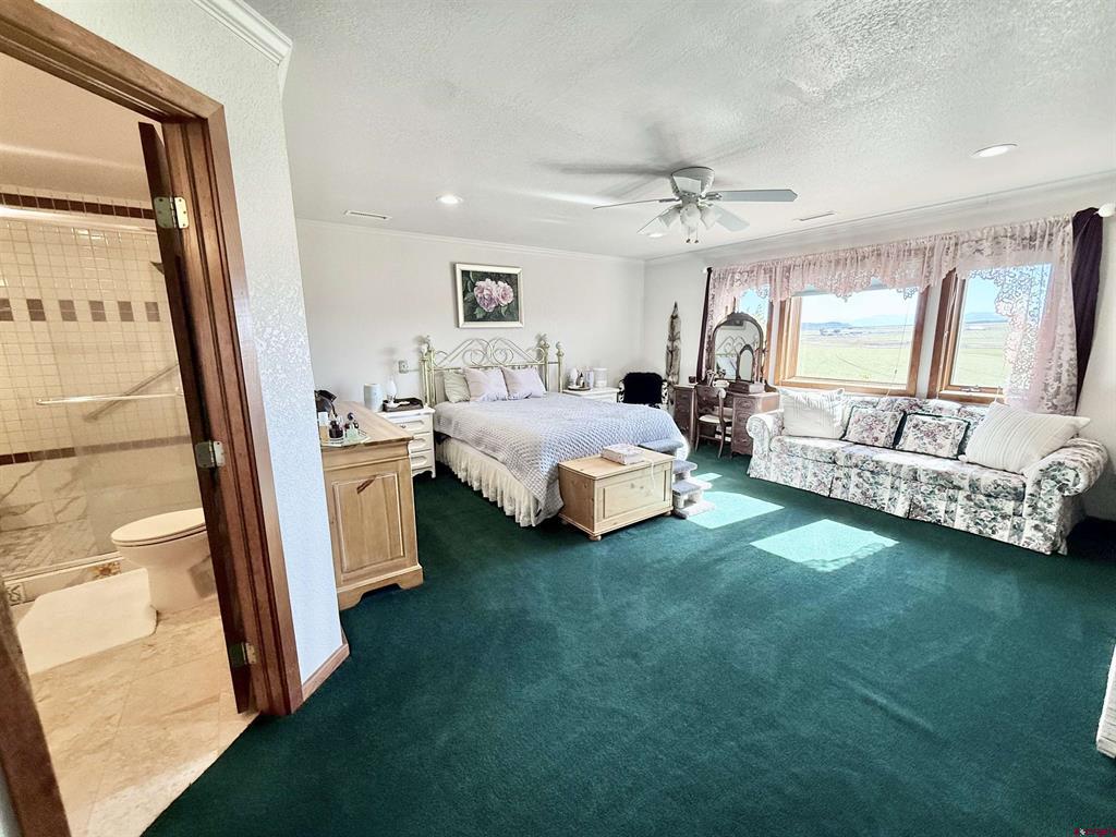 10528 Bostwick Park Road Montrose CO 81401