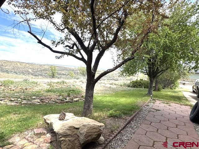 921 N Market Street Cortez CO 81321