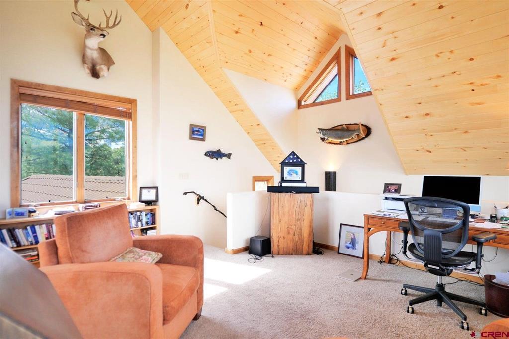 521 Waterview Lane Ridgway CO 81432