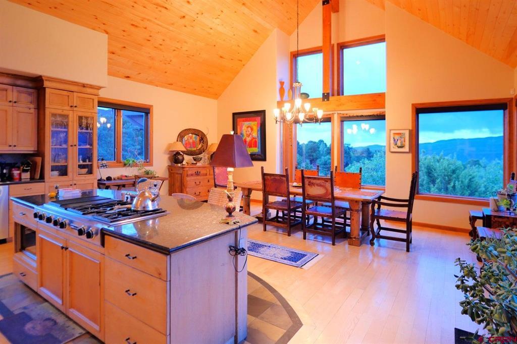 521 Waterview Lane Ridgway CO 81432