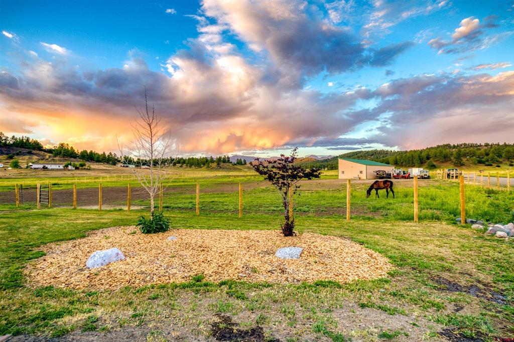 60 Clover Lane Pagosa Springs CO 81147