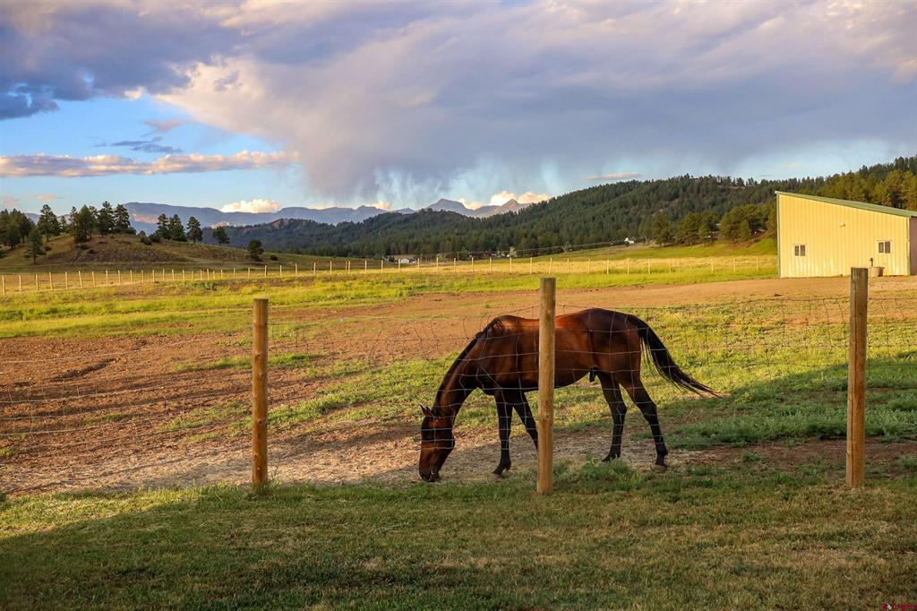 60 Clover Lane Pagosa Springs CO 81147