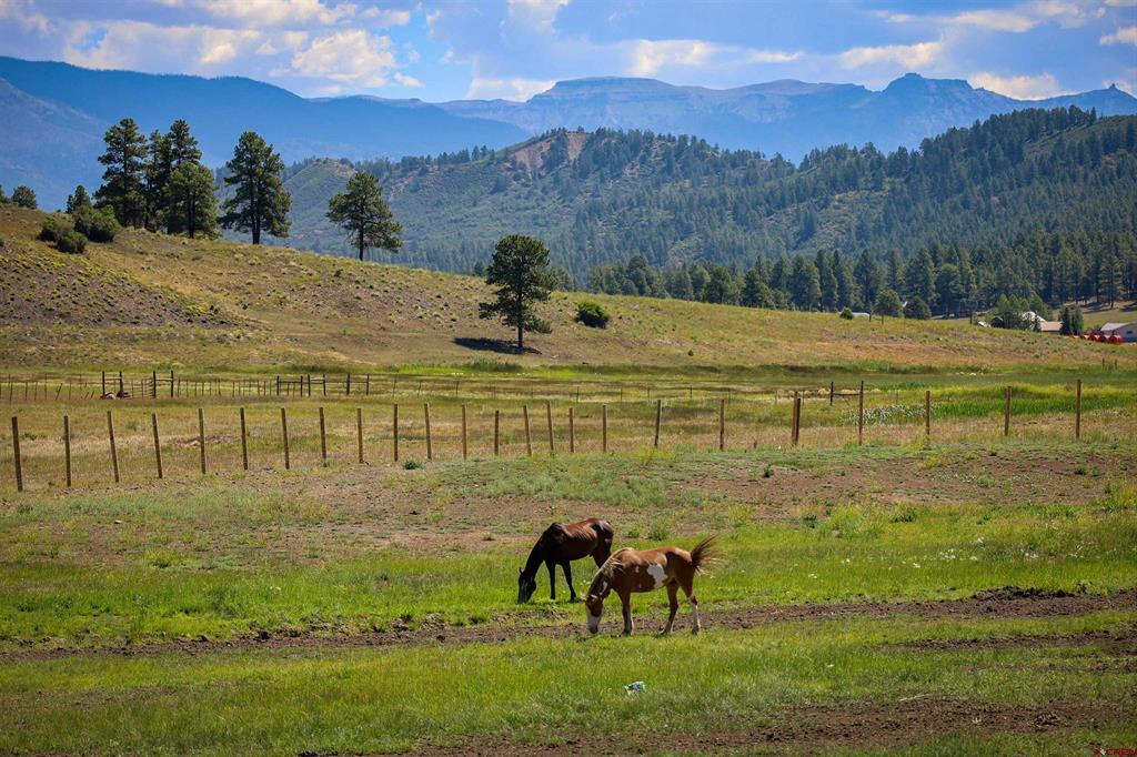 60 Clover Lane Pagosa Springs CO 81147