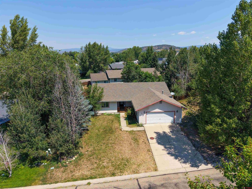 317 Meadows Circle Bayfield CO 81122