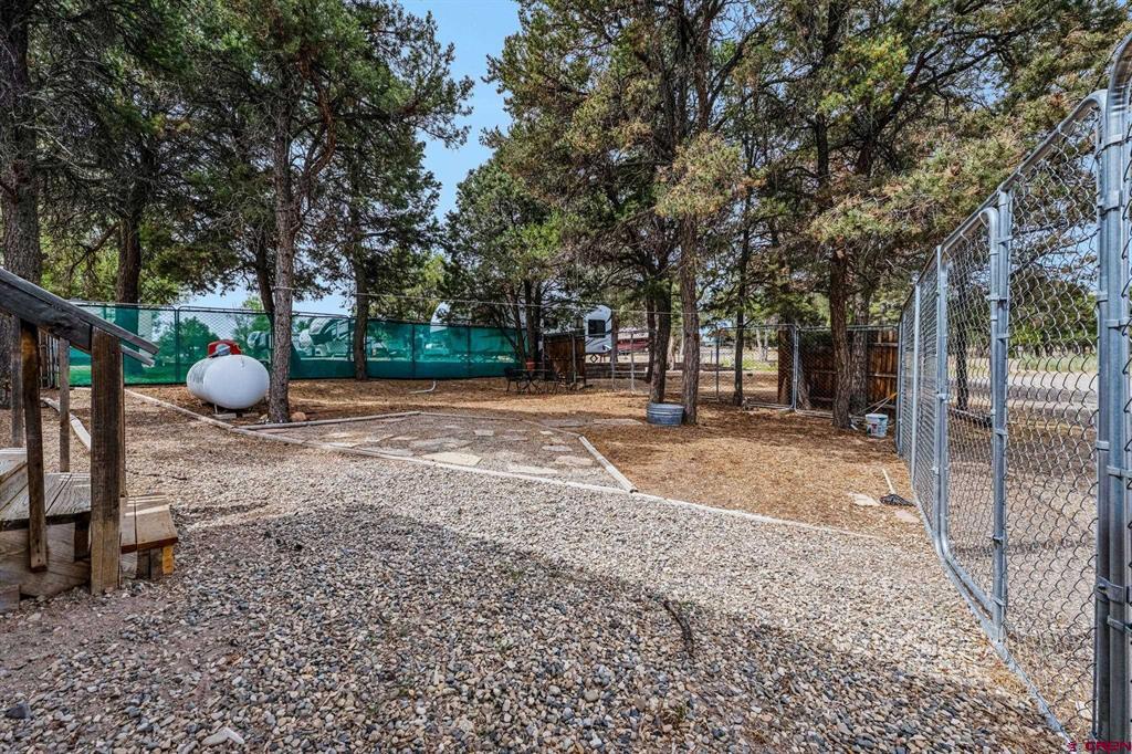 19 Lazy Lane Arboles CO 81121